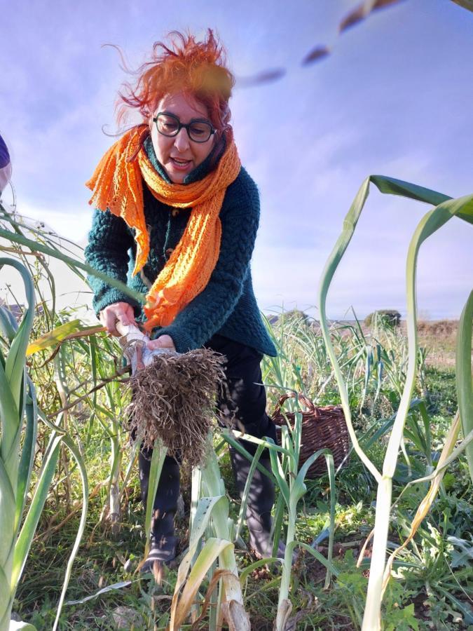 Turismo Rural La Ojinegra Alloza Exteriör bild